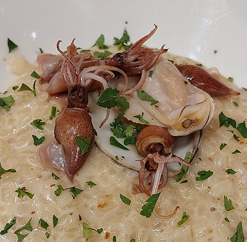 hamagurihotaruikarizottto